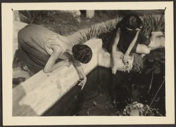 [Woman by Garden Pond]