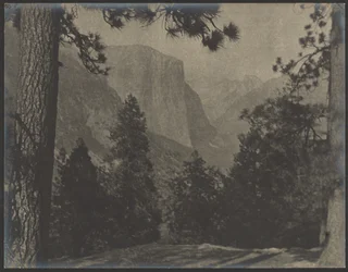 Yosemite, Through the Pines