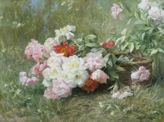 Freshly cut flowers