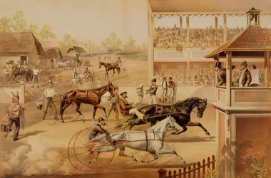 Ready for the Trot Bring up Your Horses