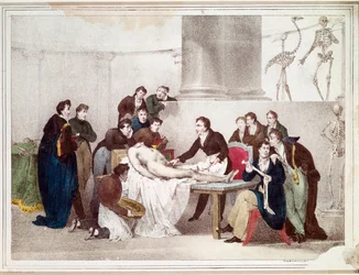 The Anatomy Lesson