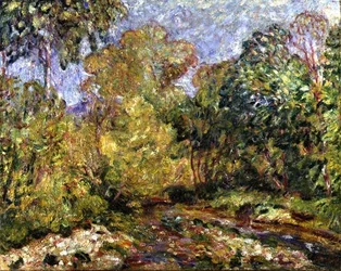 Landscape in the Midi