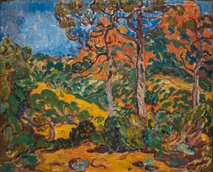 Sunlight under the Trees