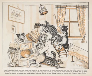 Cats Playing with Boxes in a Room