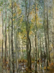 A Forest. Flooding on Lake Starnberg