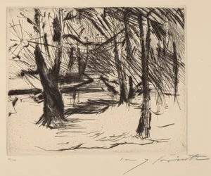 Trees in the Sun