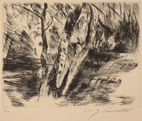 Birch Trees in the Tiergarten