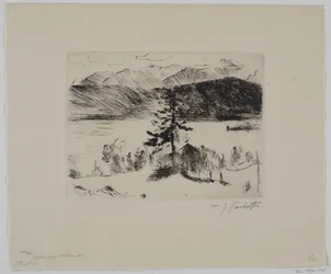 Larch at Lake Walchen