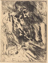 Death and the Woman