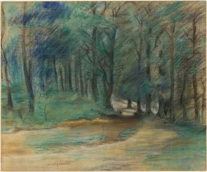 Woodland Path
