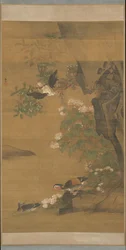 Mandarin ducks and cotton rose hibiscus