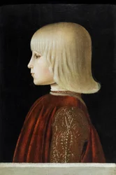 Portrait of a Young Man (Guidubaldo da Montefeltro?)