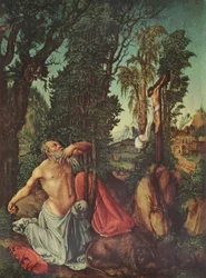 Penitent Saint Jerome