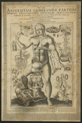 Third Vision, from Mirrors of the Microcosm