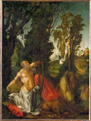 Saint Jerome Penitent