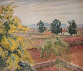 Mimosa Lavendou, 1923