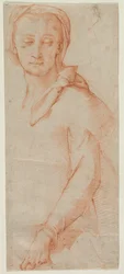 Half-Length Figure Study of a Woman