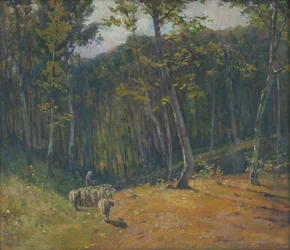 Sheep in the Forest