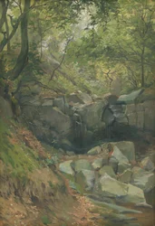 Stream in Wood