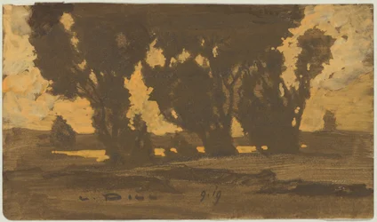 Willows in the Dachau moorland landscape