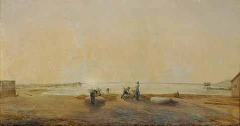 Landscape at Lake Neusiedl