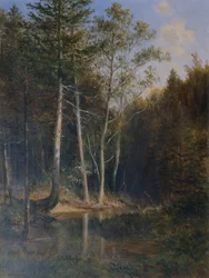 Forest Scene at Gerichtsberg near Kaumberg