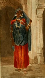 Annals of the Natural History Museum in Vienna (1890)