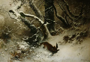 Winter landscape