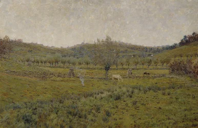 Pasture