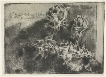 Rose Branch