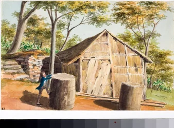 View of a Cabin
