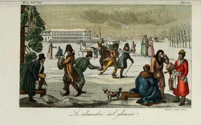 Skating Rink