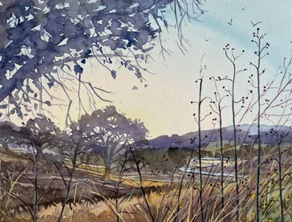 Golden Hour Countryside