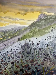 Mountain Sunset Wildflowers