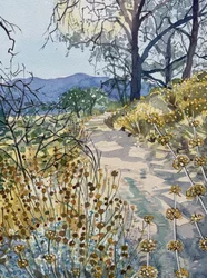 Tranquil Nature Trail