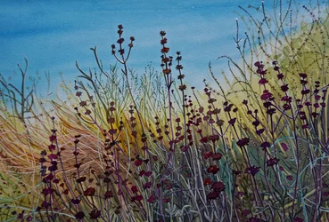 Vibrant Wild Meadow