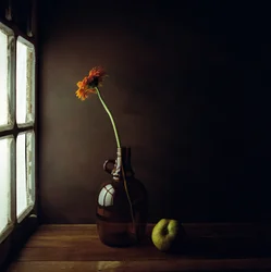 Moody Window Still Life