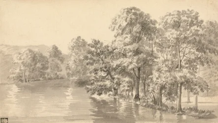 Trees by a Lake