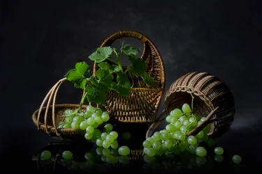 Abundant Grapes Still Life