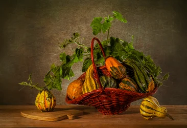 Autumn Harvest Gourds