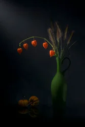 Autumn Lantern Still Life