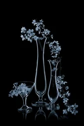 Blue Flowers in Glass Vases