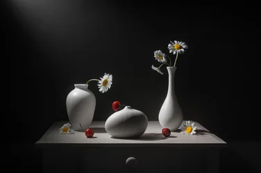 Daisies, Vases and Cherries