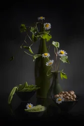 Daisies and Fresh Produce