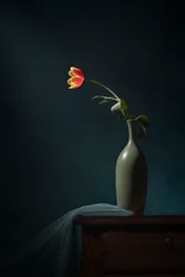 Dark Floral Still Life