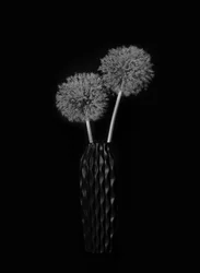 Elegant Dandelion Vase