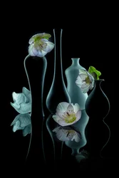 Elegant Floral Glow