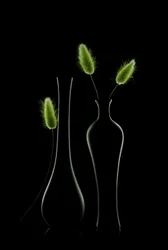 Elegant Green Still Life