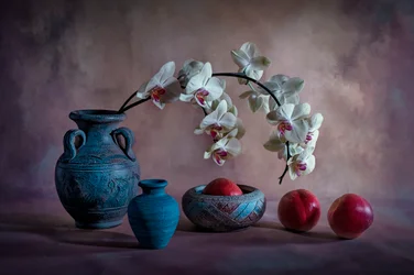 Elegant Orchid Still Life