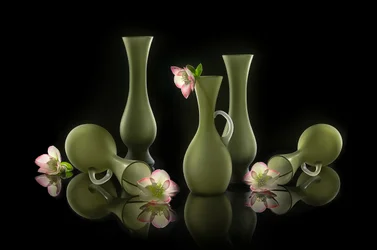Elegant Vases and Blooms